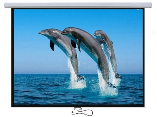 Проекционный экран Lumi PSBB167D 300x300 см