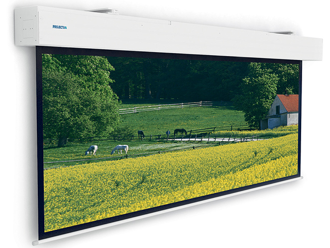 Фотографии Проекционный экран Projecta Elpro Large Electrol 306x490 см, MW